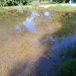 Sonnenhof Плауэн