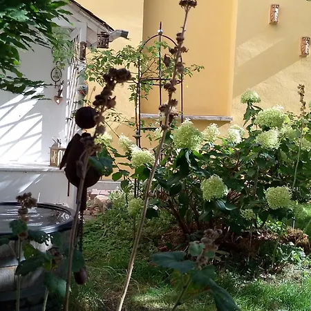 Apartamento Sonnenhof Plauen